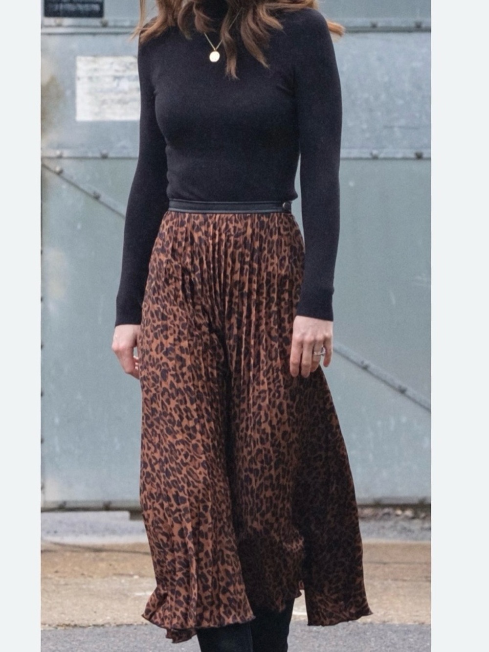 Zara Brown Leopard-Print Pleated Midi Skirt - Picture 3 of 8